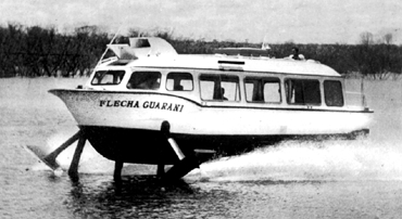 Flecha Guarani